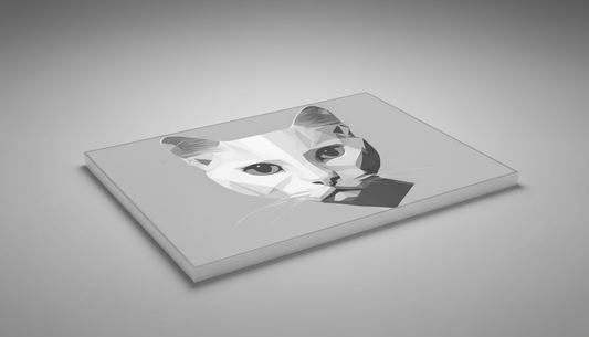 Come preservare i quadri in foam per salvaguardare la stampa