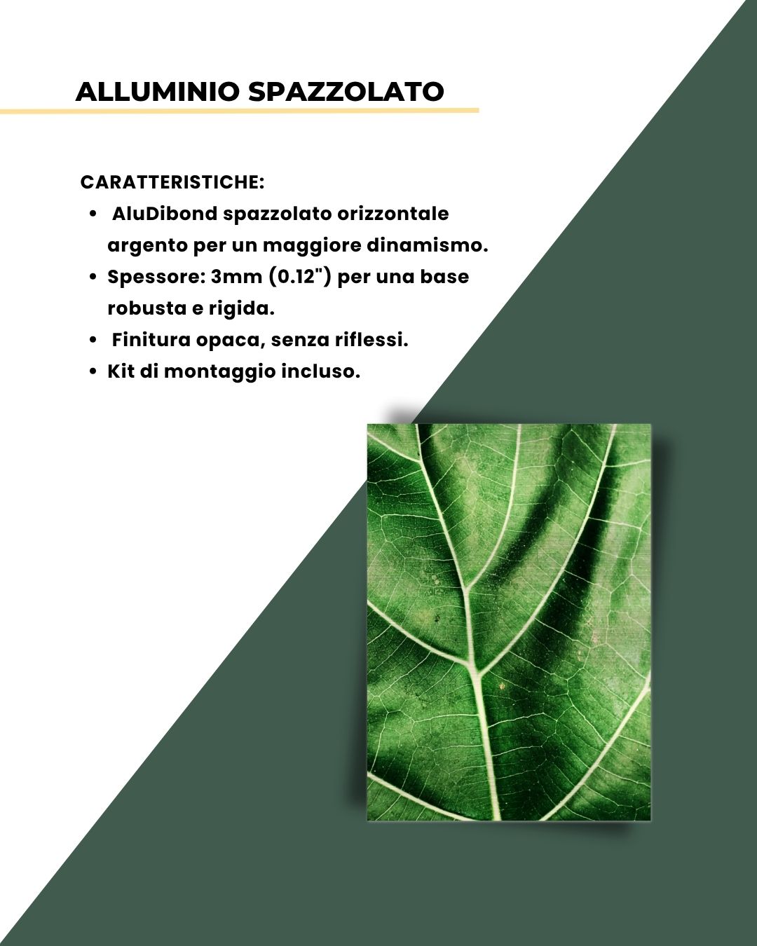 Green Vibes - Macro Foglia 50x70cm