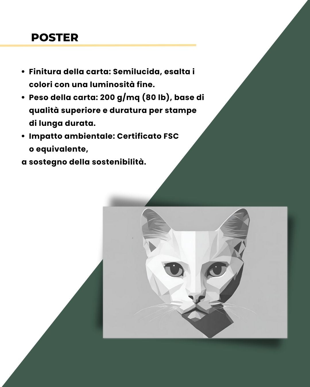 Gatto Silver Minimal 50x70cm