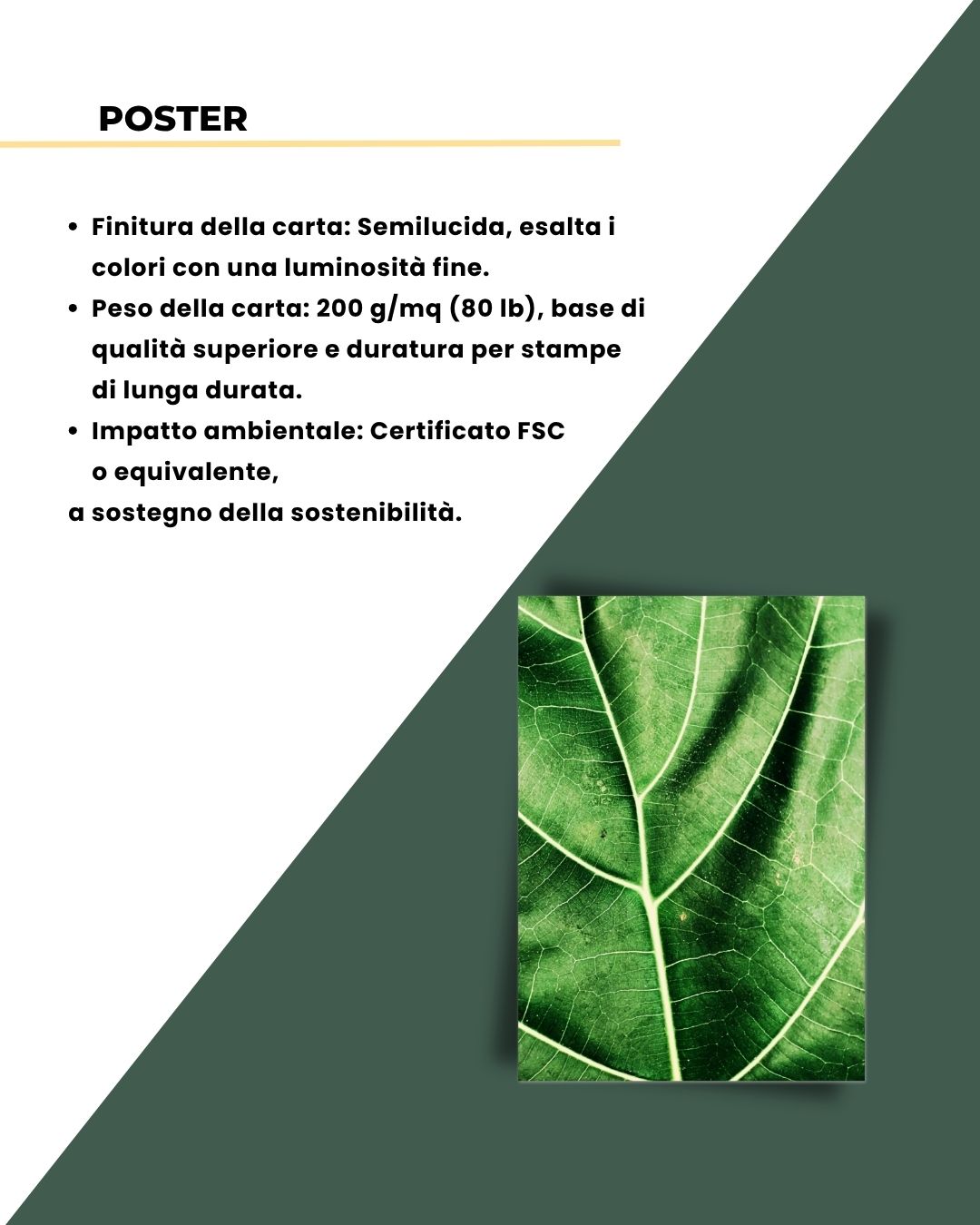 Green Vibes - Macro Foglia 50x70cm