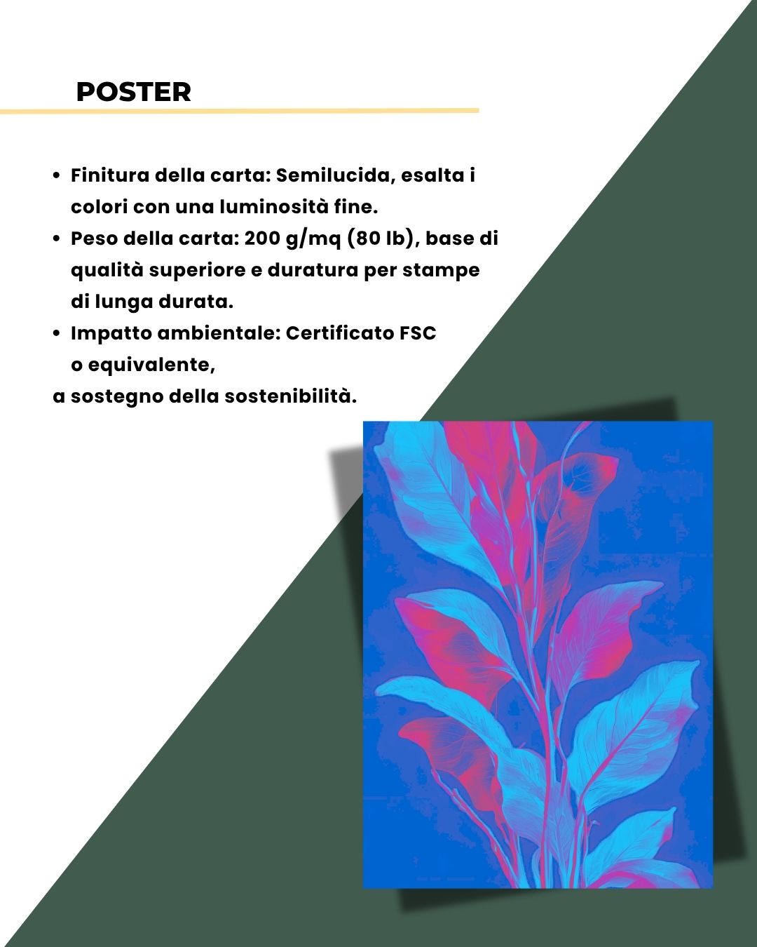 Fluo Nature Energy 50x70cm