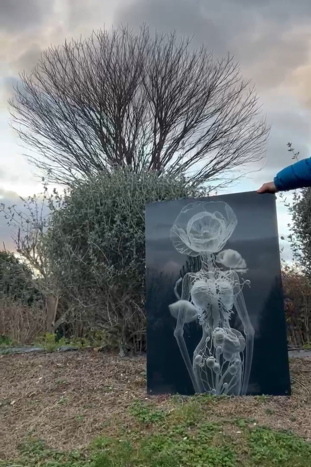 Metamorfosi 70x100cm