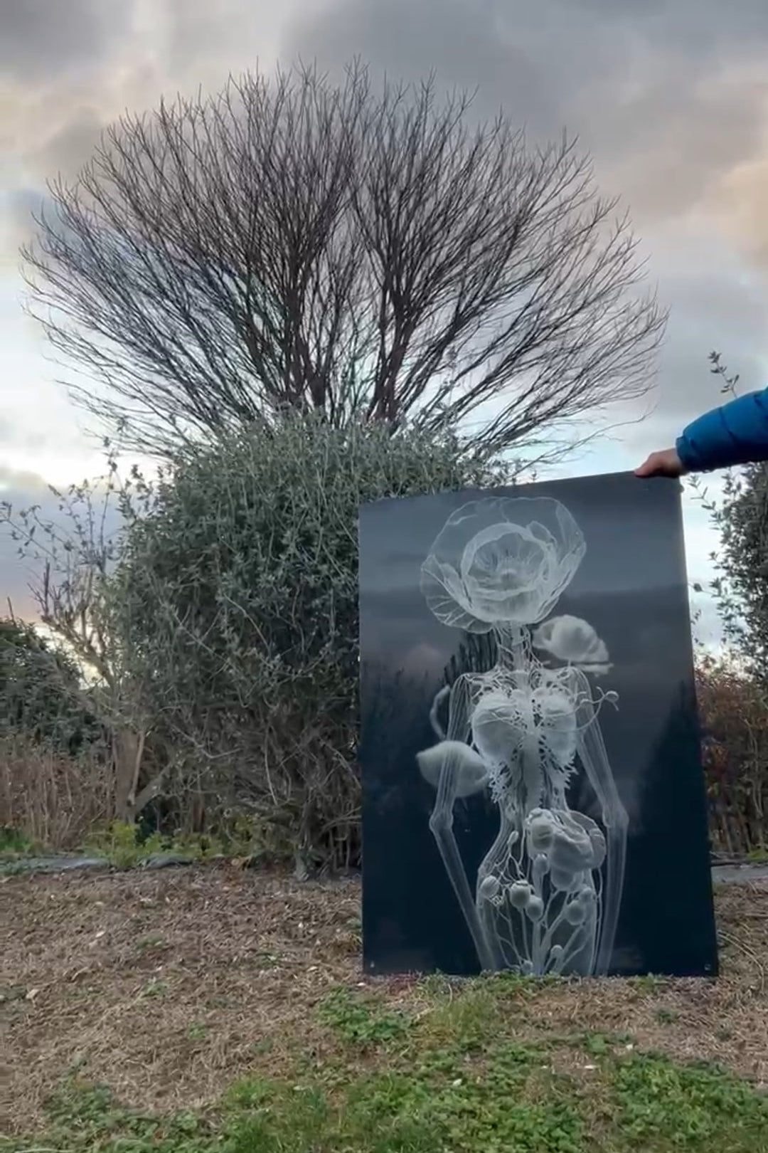 Metamorfosi 70x100cm