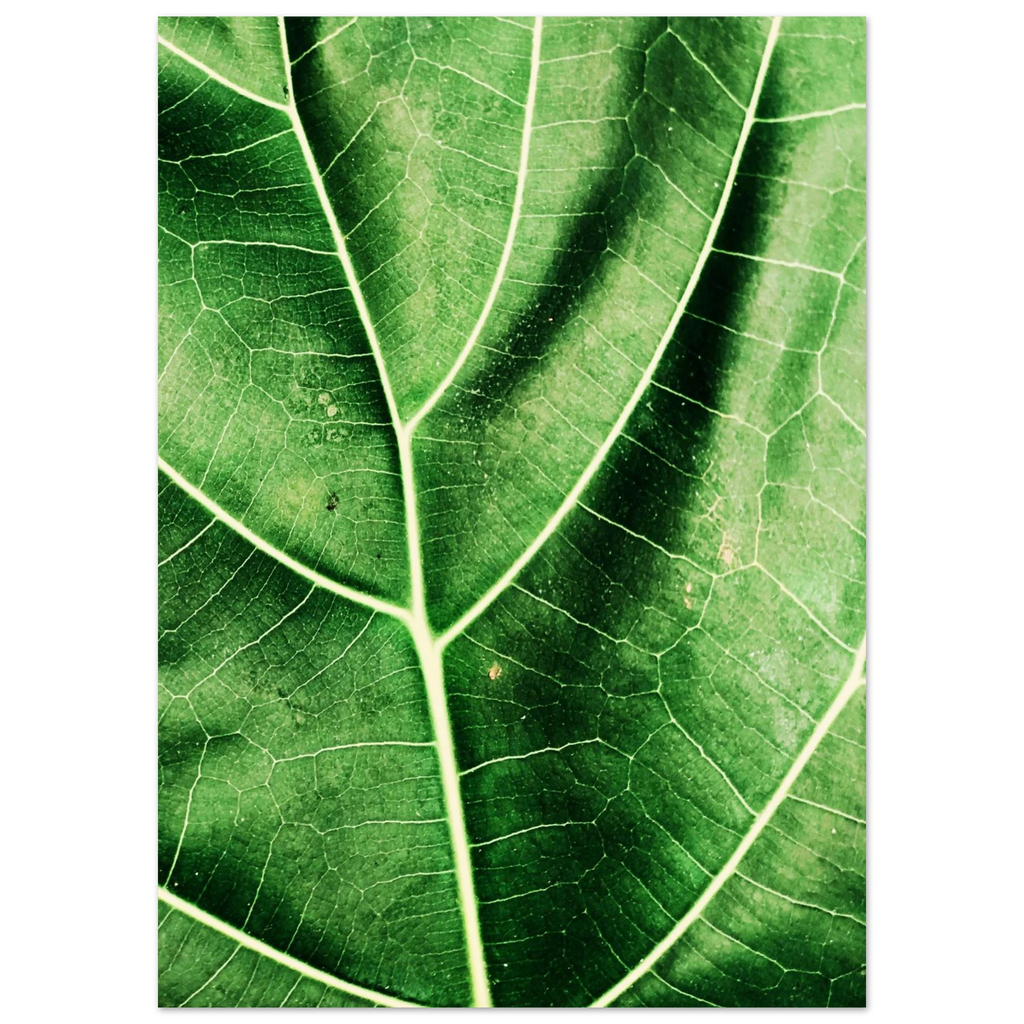 c6d9b2d9-6181-4463-a4d5-77fc4516381d