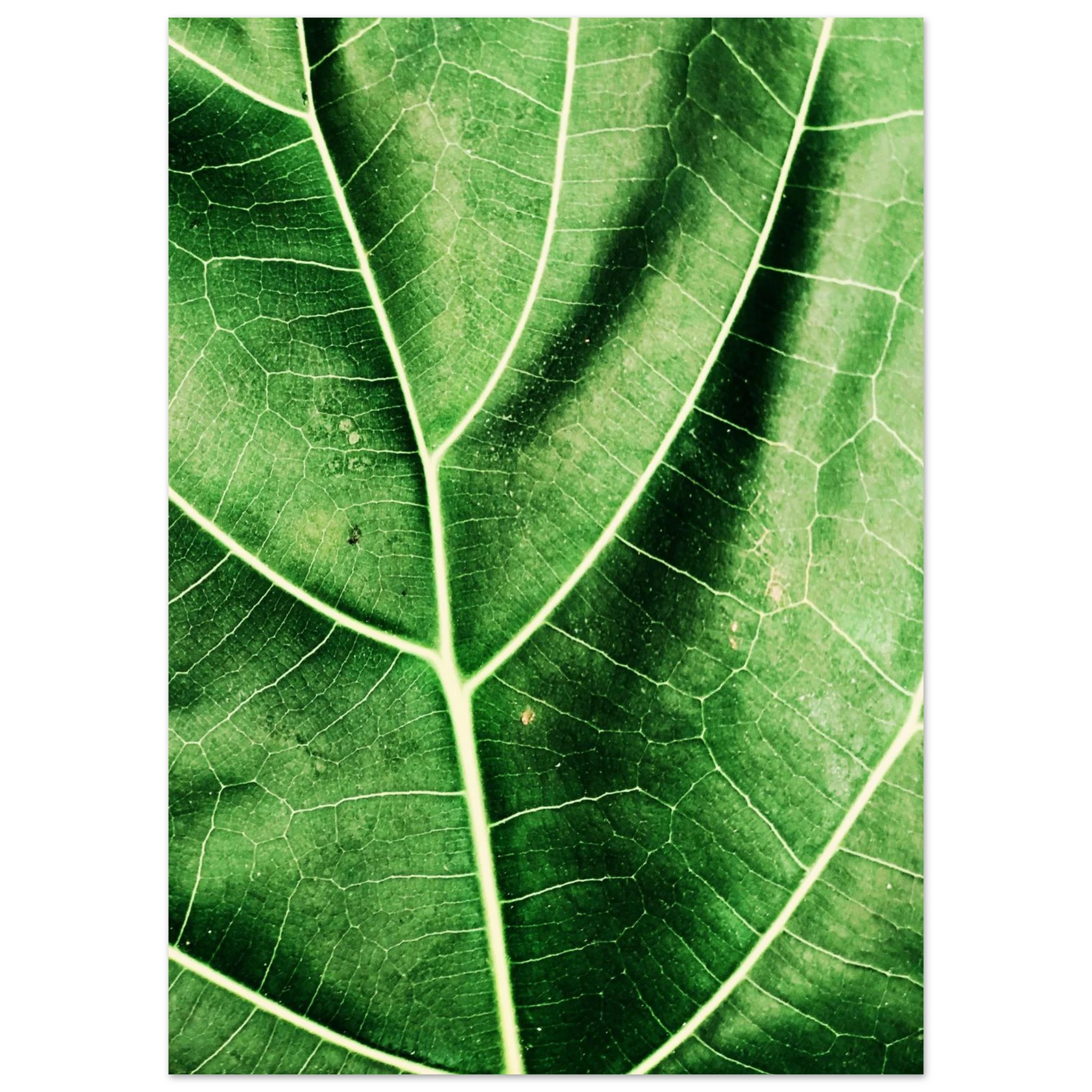 c6d9b2d9-6181-4463-a4d5-77fc4516381d