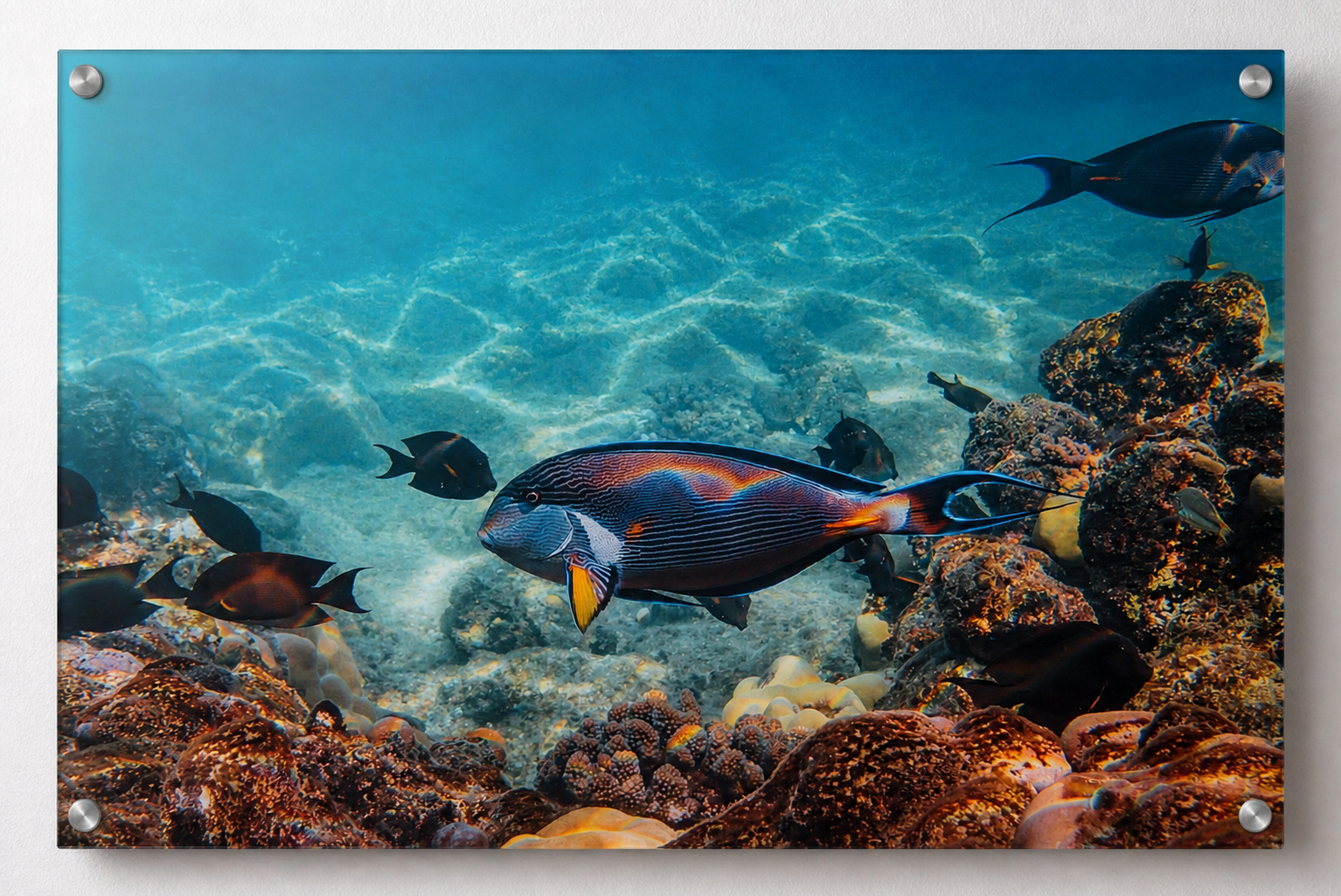 Oceano Cromatico 40x60 cm Acrilico